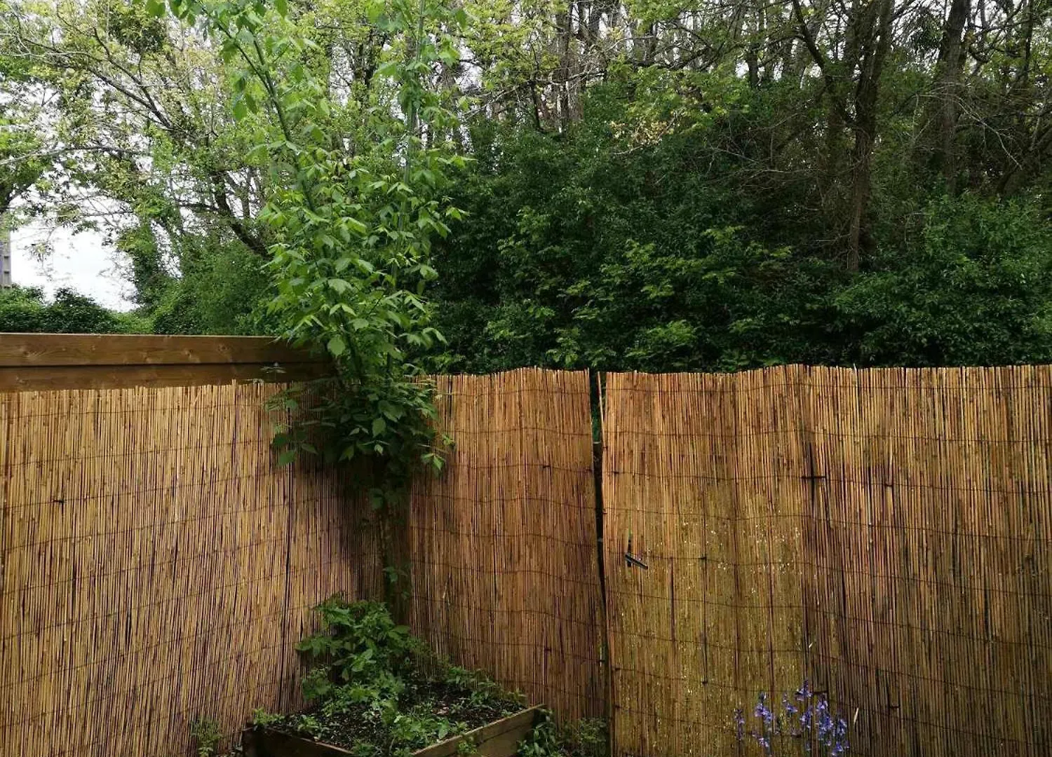 Appartement T1Bis Avec Jardinet Au Calme Barbotan-les-Thermes 0*,  France